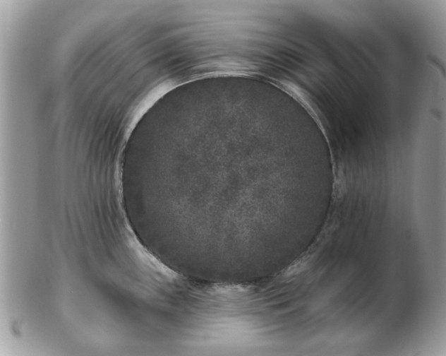 X0000102831243200808251126