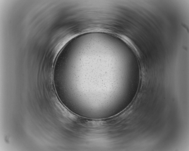 X0000102831244200808251126