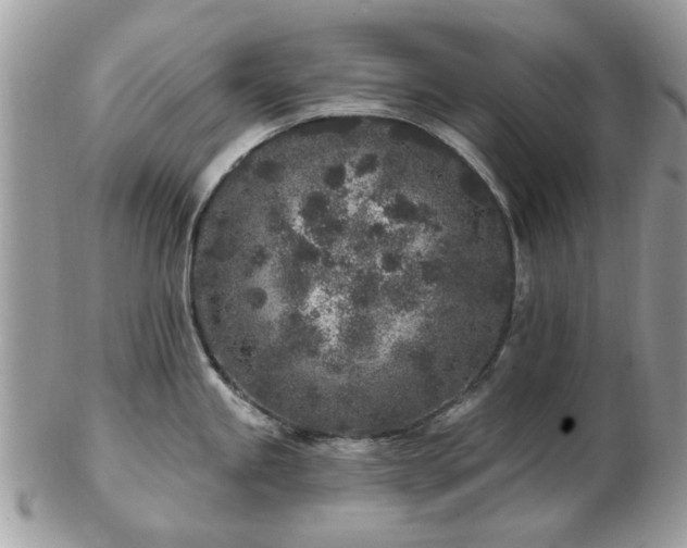 X0000102831245200808251126