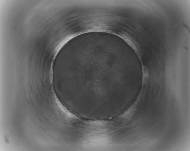 X0000102831246200808251126