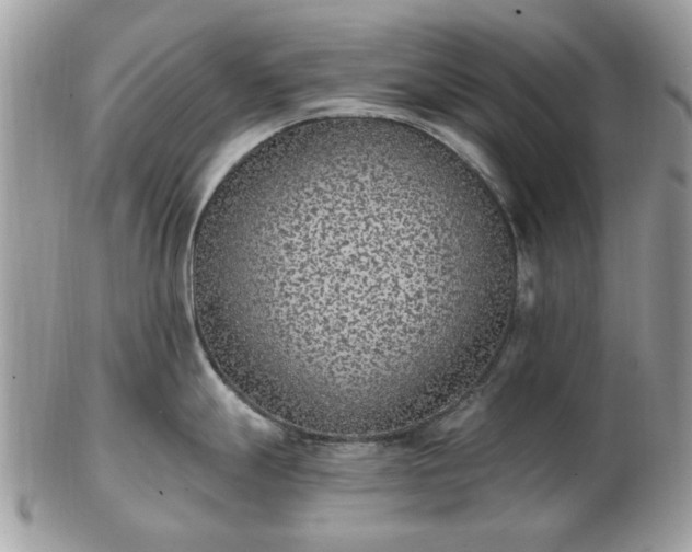 X0000102831247200808251126