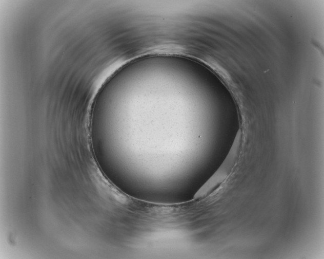 X0000102831248200808251126