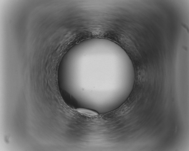 X0000102831249200808251126