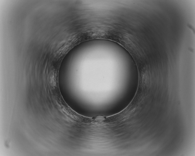 X0000102831250200808251126