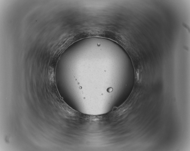 X0000102831251200808251126