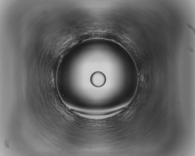 X0000102831252200808251126