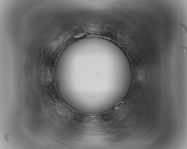 X0000102831253200808251126