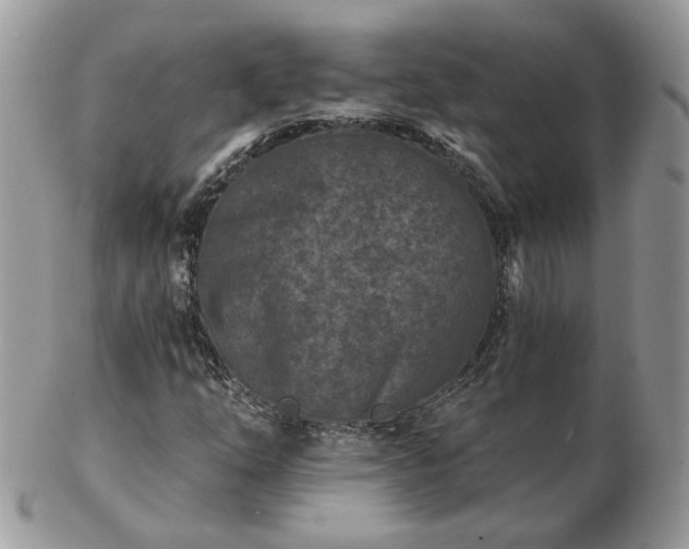 X0000102831254200808251126