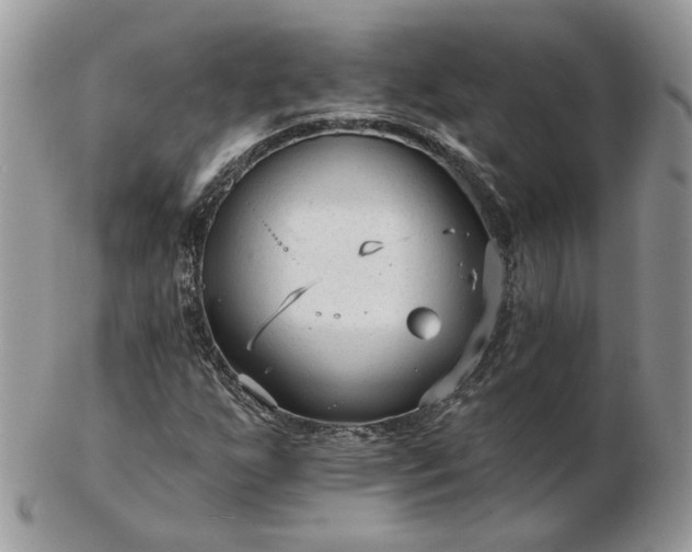 X0000102831255200808251126