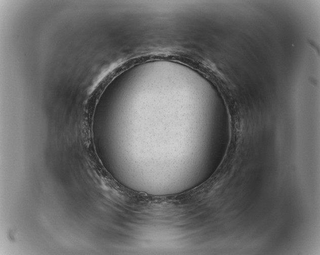 X0000102831256200808251126