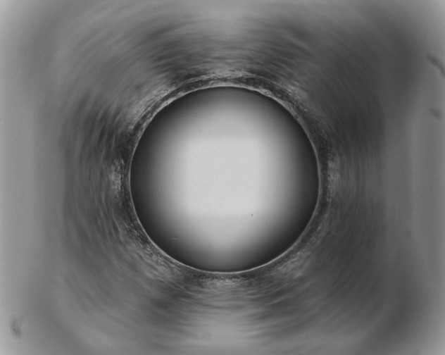 X0000102831257200808251126