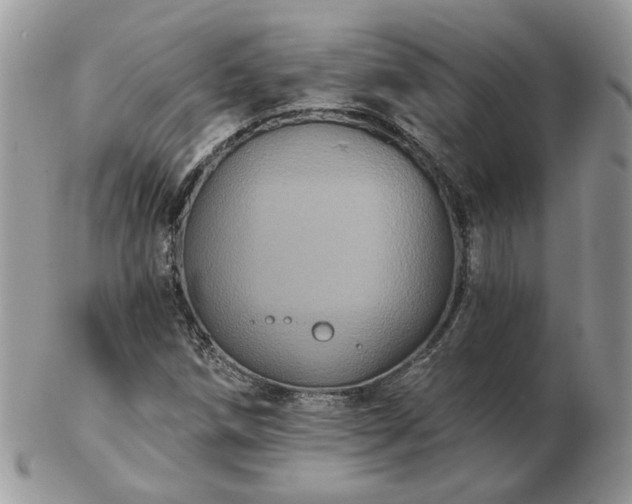 X0000102831258200808251126