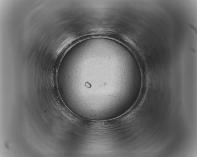 X0000102831259200808251126