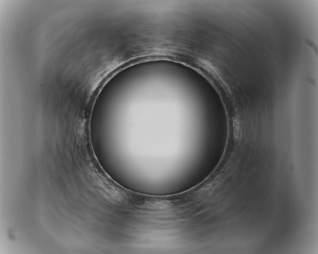 X0000102831260200808251126