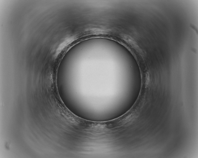 X0000102831261200808251126