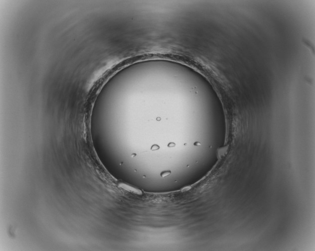 X0000102831262200808251126