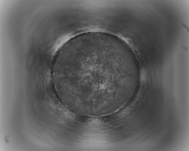 X0000102831263200808251126