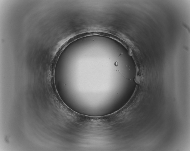 X0000102831264200808251126