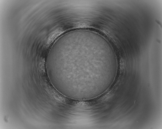 X0000102831265200808251125