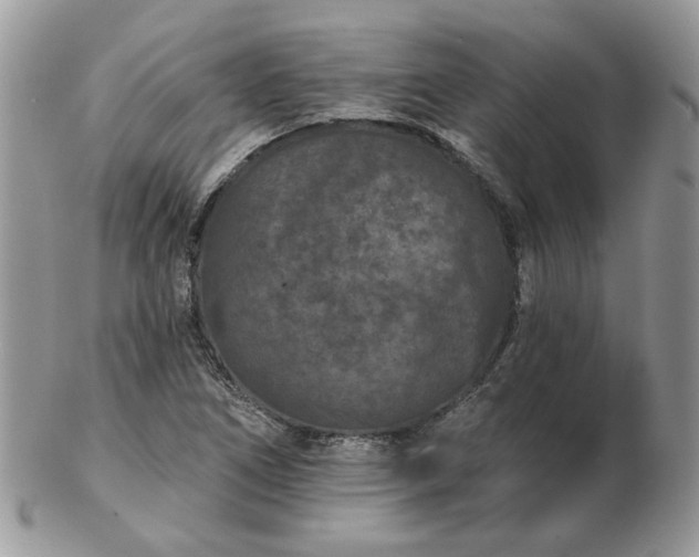 X0000102831266200808251125