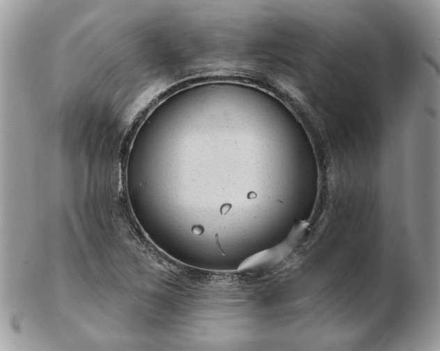 X0000102831267200808251125