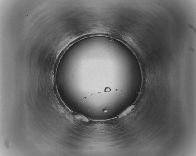 X0000102831268200808251125