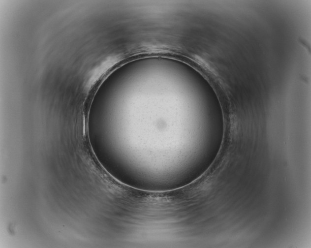 X0000102831269200808251125