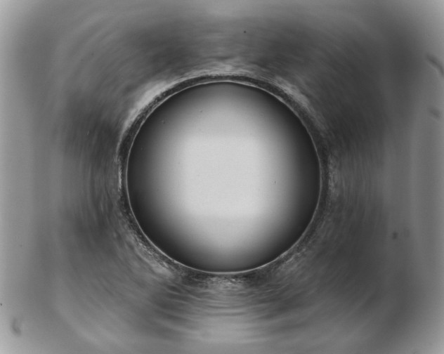 X0000102831270200808251125