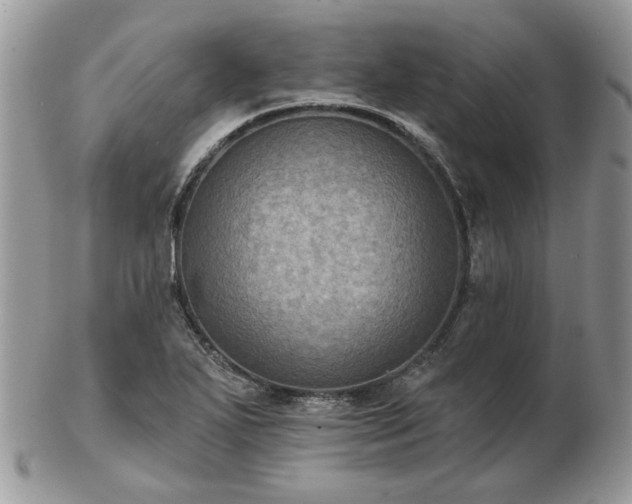 X0000102831271200808251125