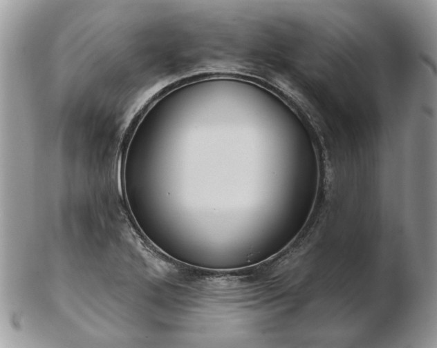 X0000102831272200808251125