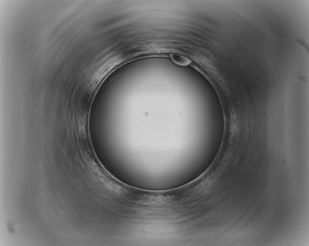 X0000102831273200808251125