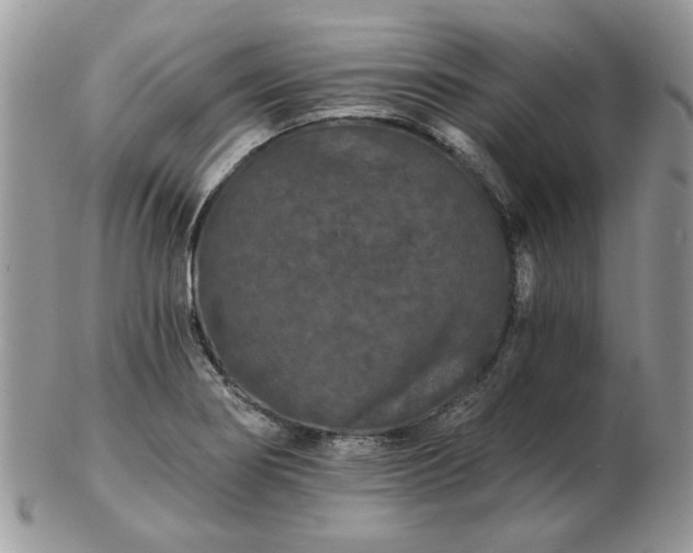 X0000102831274200808251125