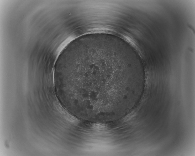 X0000102831275200808251125