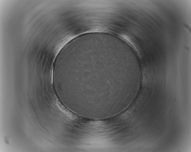 X0000102831276200808251125