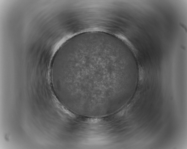 X0000102831278200808251125