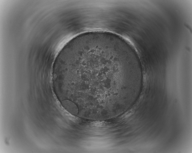 X0000102831279200808251125