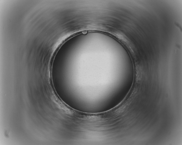 X0000102831280200808251125