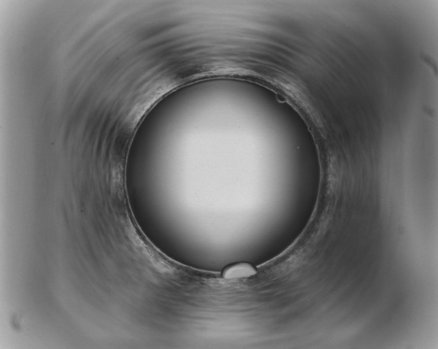 X0000102831281200808251125