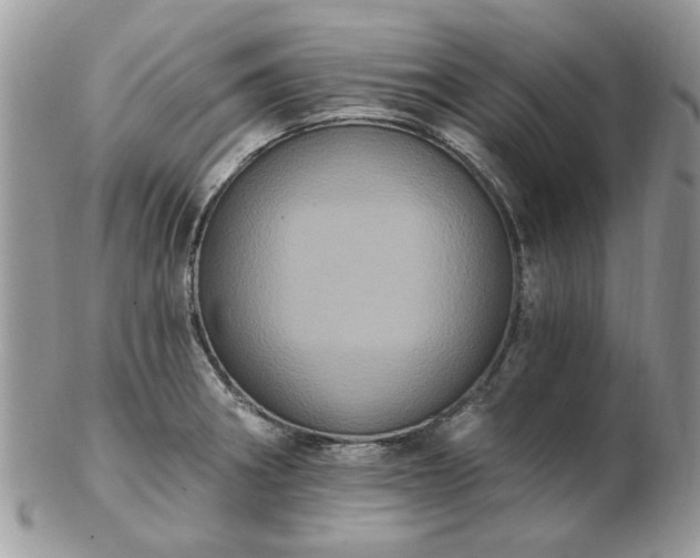 X0000102831282200808251125