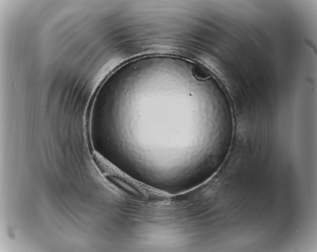 X0000102831283200808251125