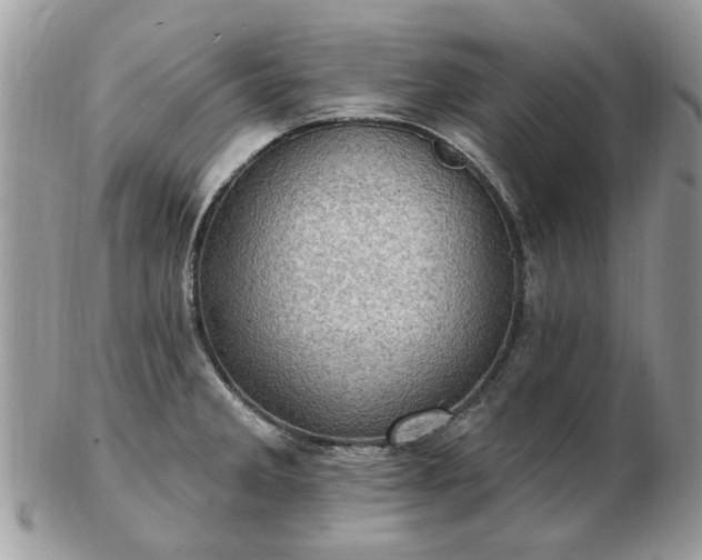 X0000102831285200808251125