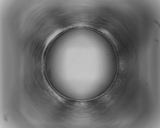 X0000102831286200808251125