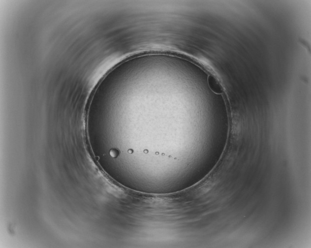 X0000102831287200808251125