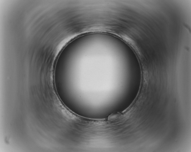 X0000102831288200808251125