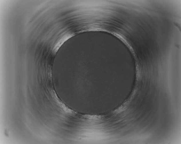 X0000102831289200808251125