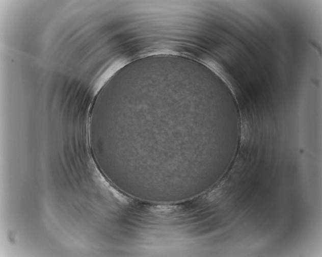 X0000102831290200808251125