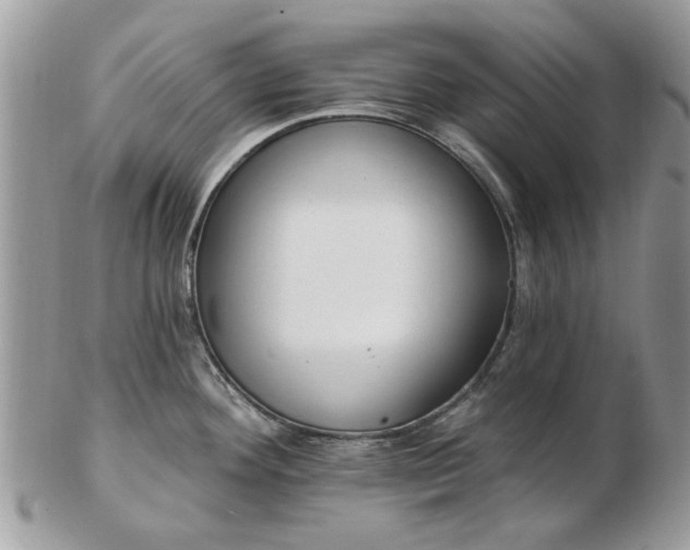 X0000102831292200808251125