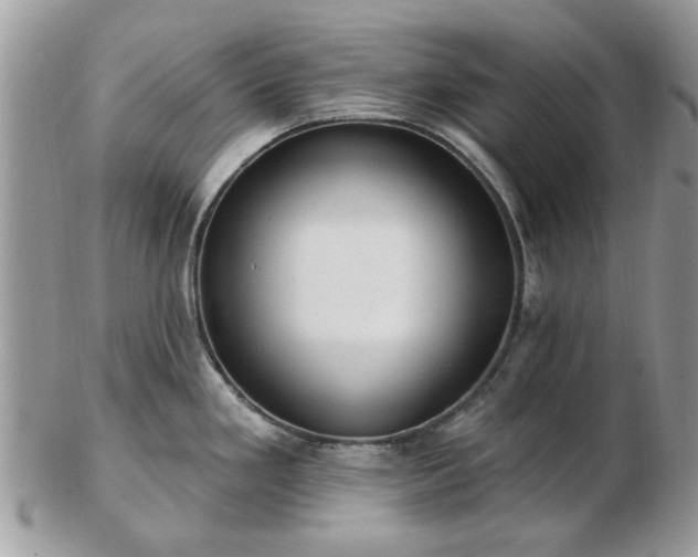 X0000102831293200808251125