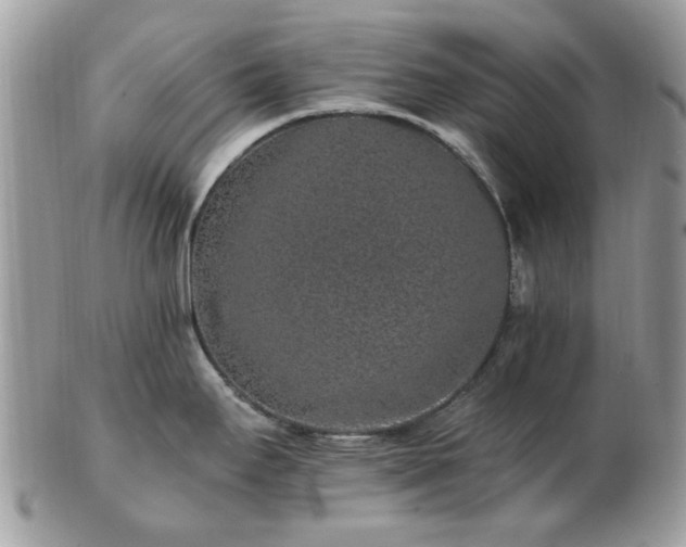 X0000102831295200808251125