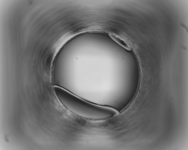 X0000102831296200808251125